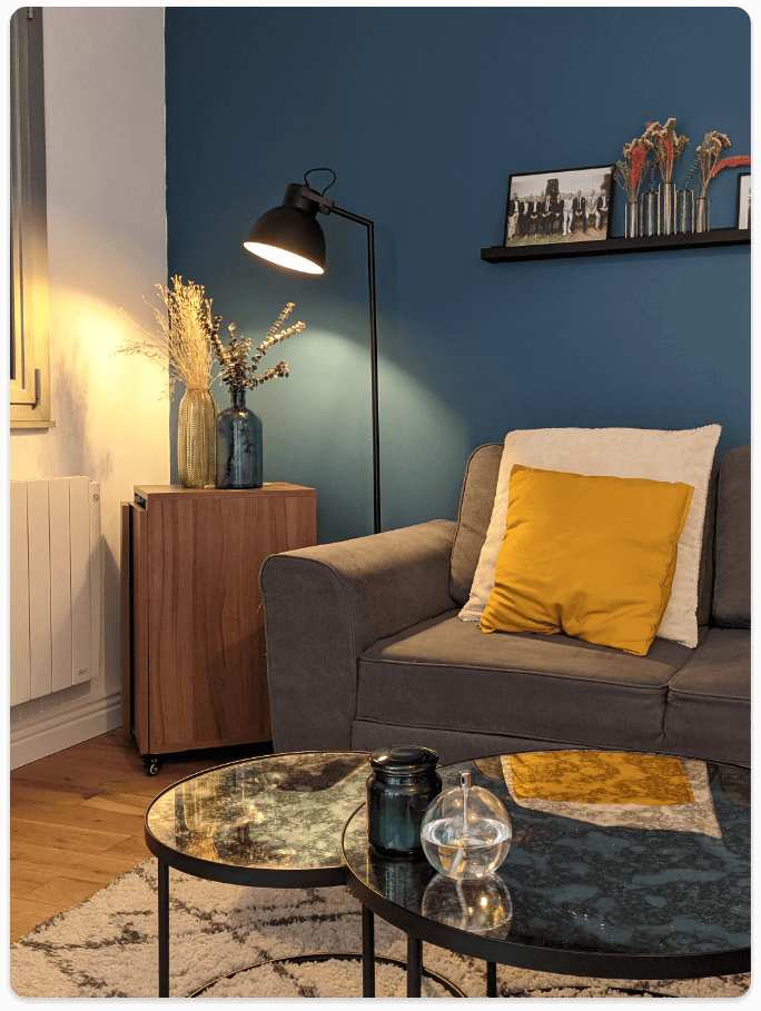Le meuble Alphahome s'intègre à la décoration moderne d'un salon